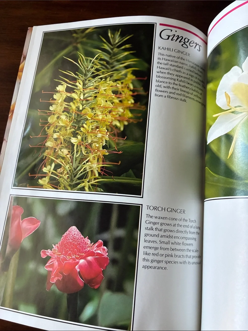 🔺FREE WHEN BUNDLED🔺 “Flowers of Hawaii” Book — Island Heritage